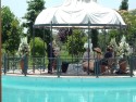 Matrimonio Civile in Villa su Isola Piscina